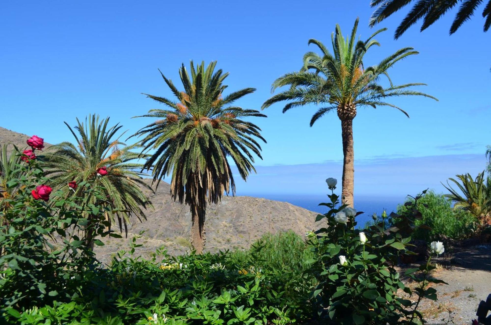 Finca Ossorio Casa Rita Vallehermoso Esterno foto